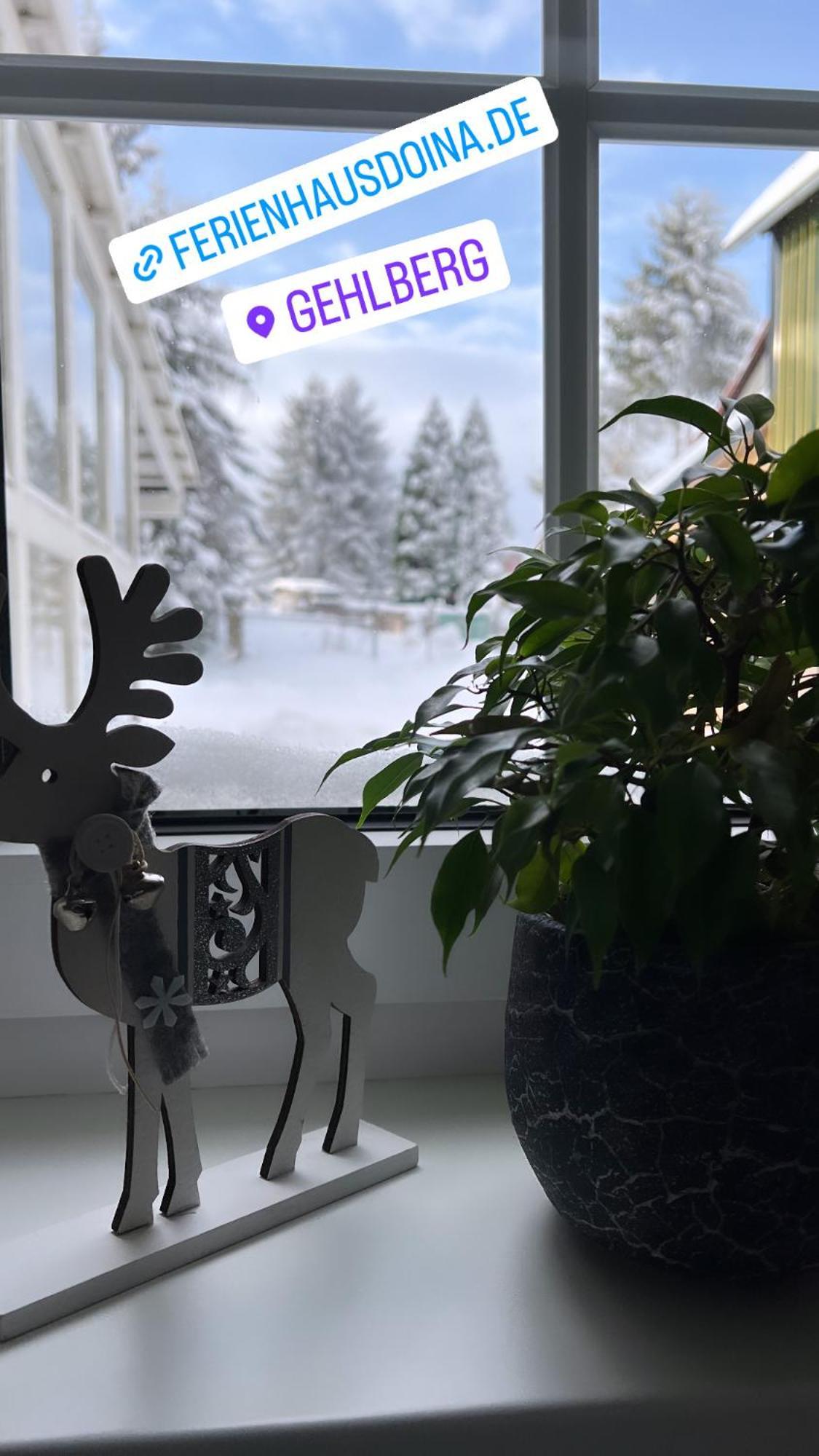 Ferienhaus Doina Gehlberg Exteriör bild