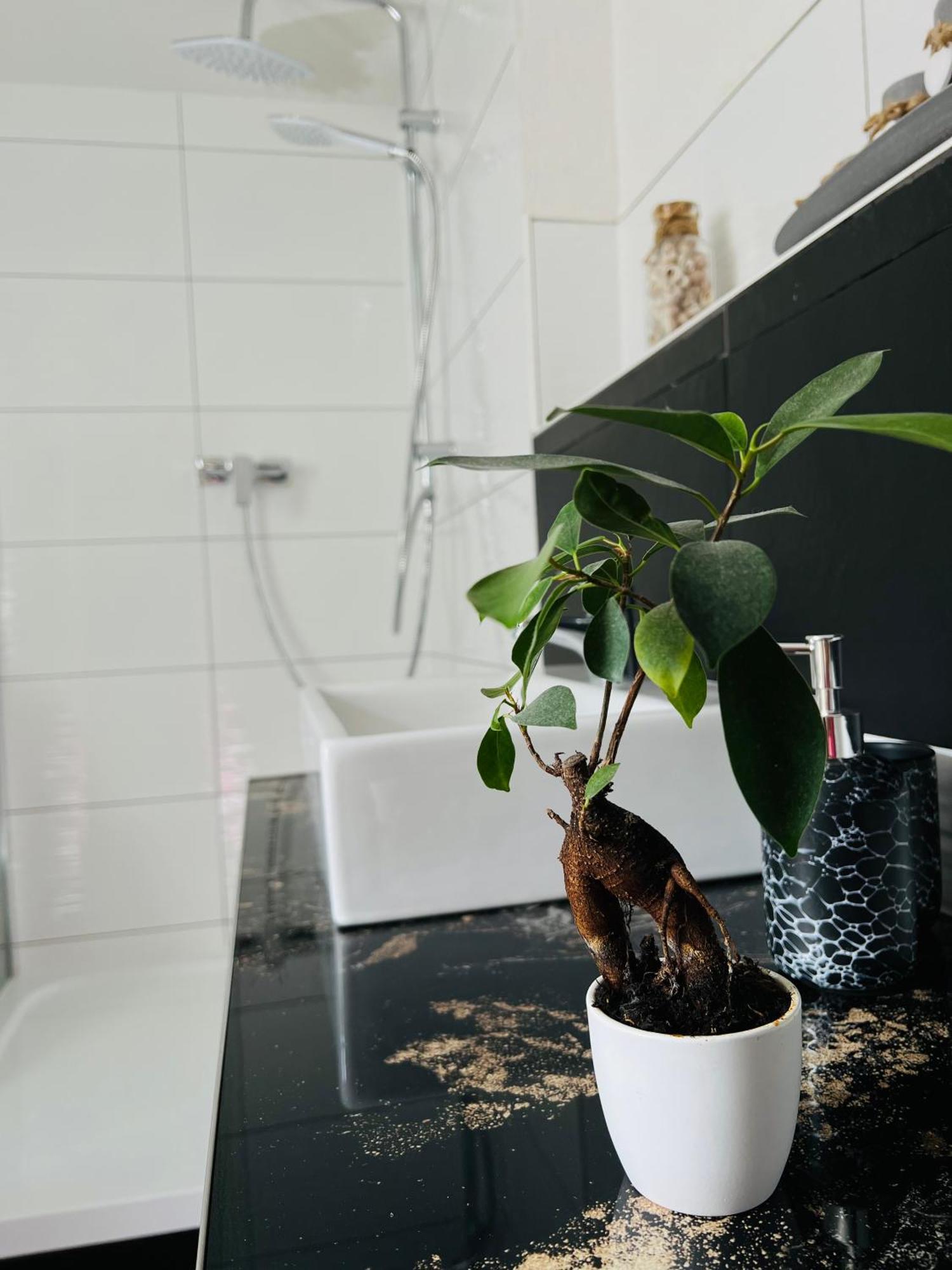 Ferienhaus Doina Gehlberg Exteriör bild